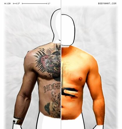 Torso Comparison