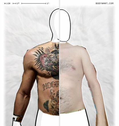 Torso Comparison