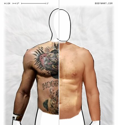 Torso Comparison