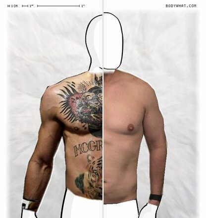 Torso Comparison