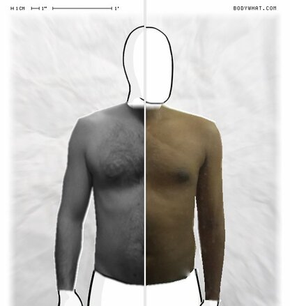 Torso Comparison