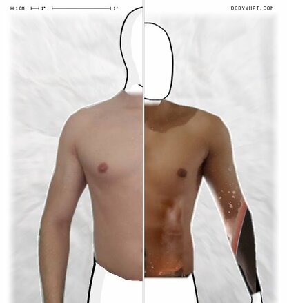 Torso Comparison