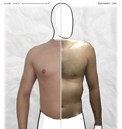 Torso Comparison