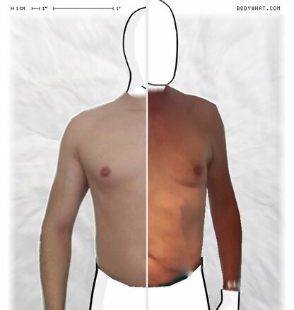 Torso Comparison