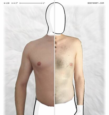 Torso Comparison
