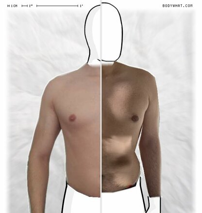 Torso Comparison