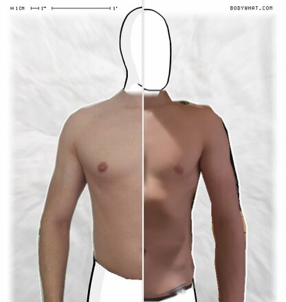 Torso Comparison