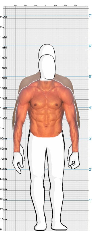 Full Size Comparison