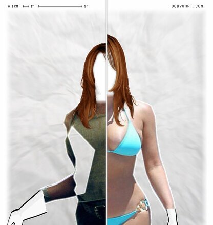 Torso Comparison