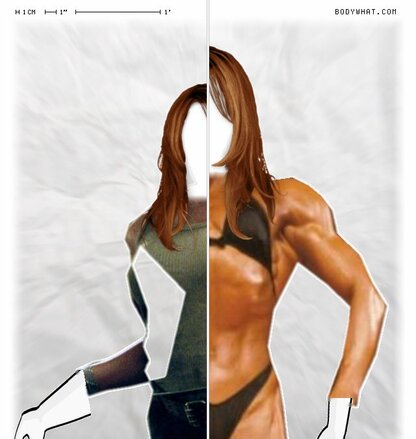 Torso Comparison