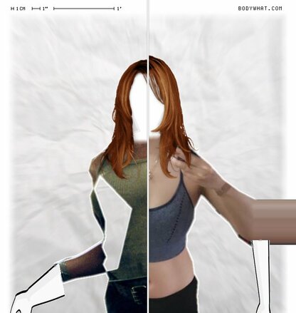 Torso Comparison