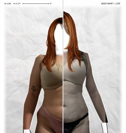 Torso Comparison