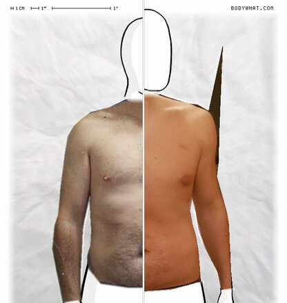 Torso Comparison