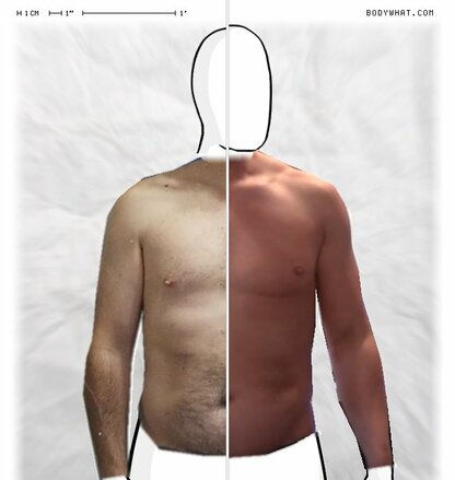 Torso Comparison