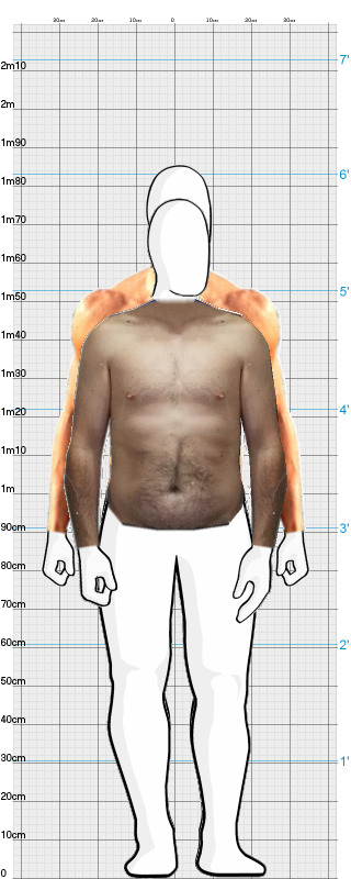 Full Size Comparison