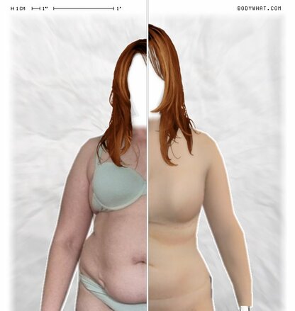 Torso Comparison