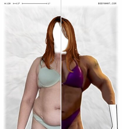 Torso Comparison