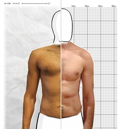 Torso Comparison