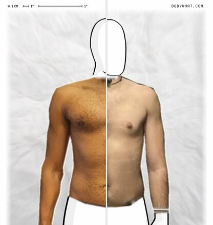 Torso Comparison