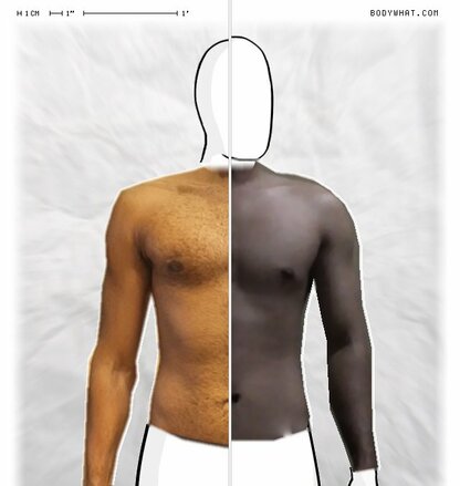 Torso Comparison
