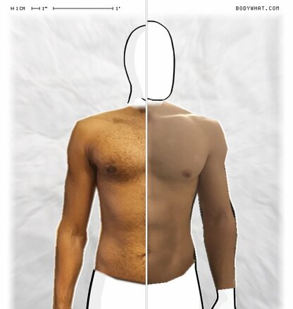 Torso Comparison
