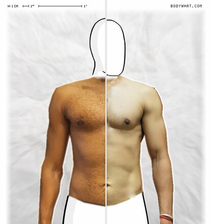Torso Comparison