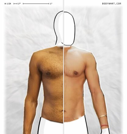 Torso Comparison
