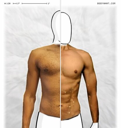 Torso Comparison
