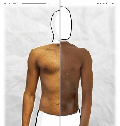 Torso Comparison