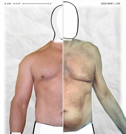 Torso Comparison