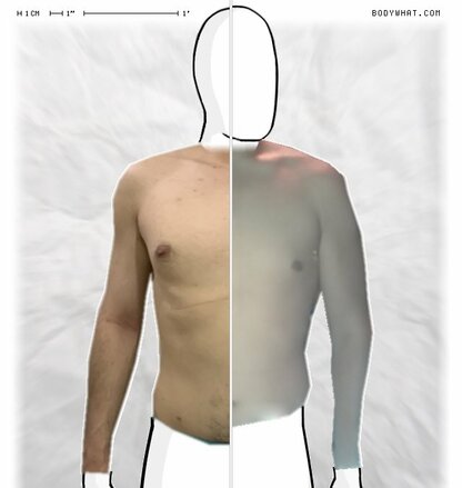 Torso Comparison