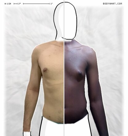 Torso Comparison