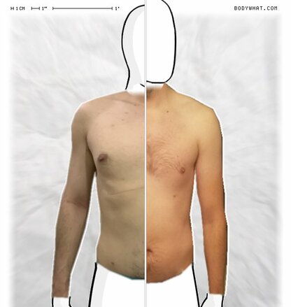 Torso Comparison