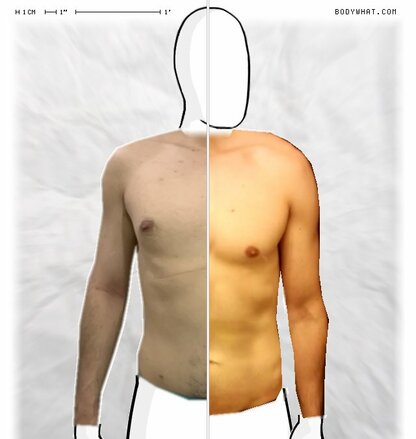 Torso Comparison