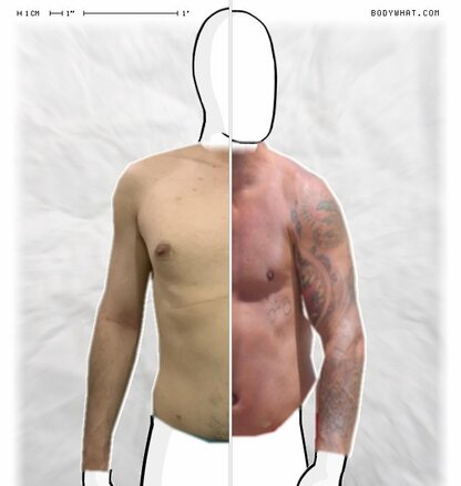 Torso Comparison