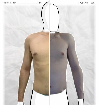 Torso Comparison