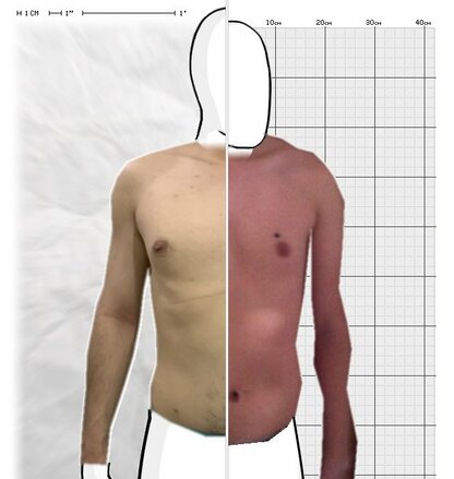 Torso Comparison