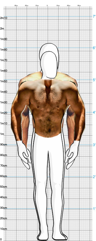 Full Size Comparison