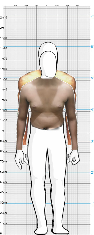 Full Size Comparison