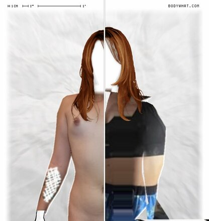Torso Comparison