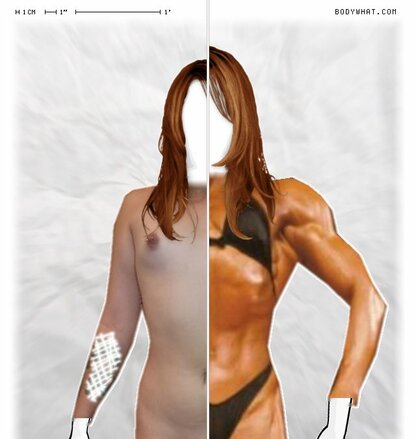 Torso Comparison