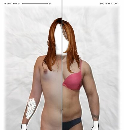 Torso Comparison