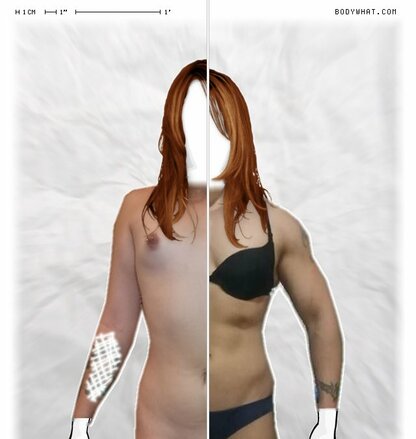 Torso Comparison