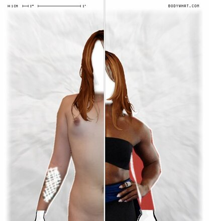 Torso Comparison