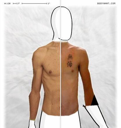 Torso Comparison