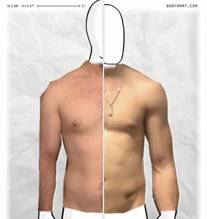 Torso Comparison