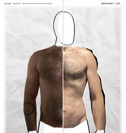 Torso Comparison