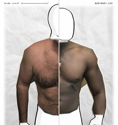 Torso Comparison