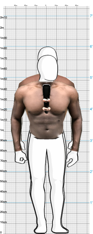 Full Size Comparison