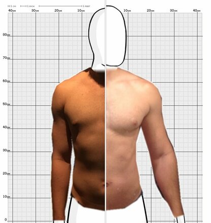 Torso Comparison